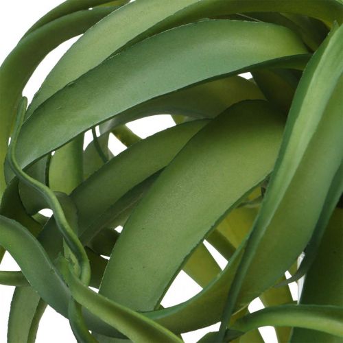 Tillandsia Kunstig grønn plante til stick Large Grønn Ø40cm