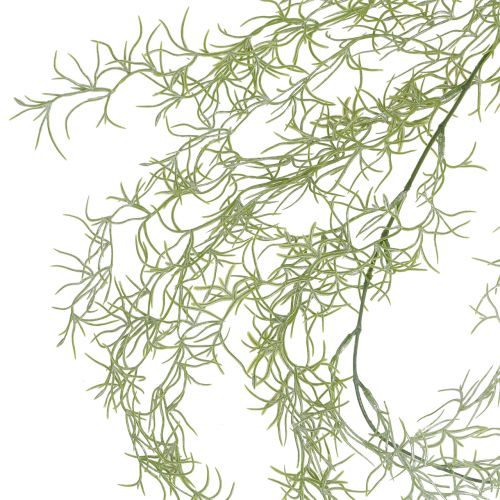 Floristik24 Tillandsia hengergrønn 160cm