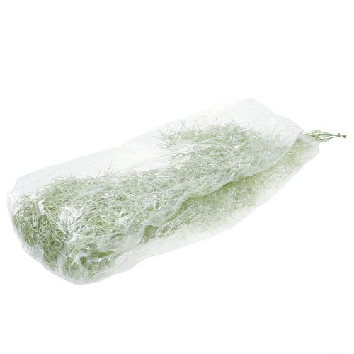 Floristik24 Tillandsia hengergrønn 160cm