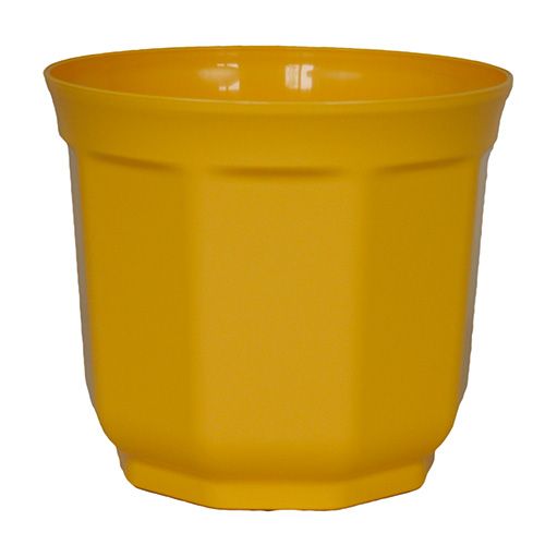 Floristik24 Planter Tino 13cm gul (10stk.)