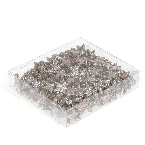 Floristik24 Borddekorasjon stjerne glimmer champagne 1,5cm 144p