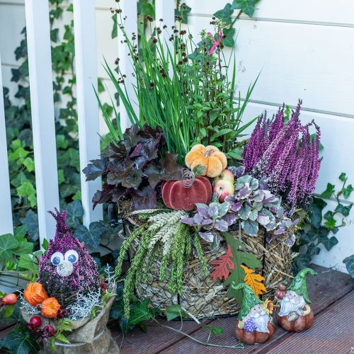 Floristik24 Borddekorasjon høstdekorasjon gresskar oransje brun Ø6,5cm 9stk