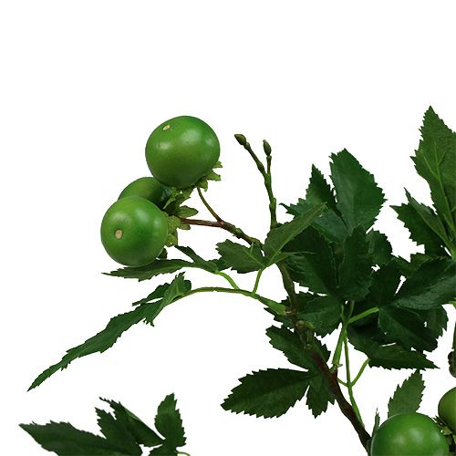 Floristik24 Tomatgren L60cm grønn
