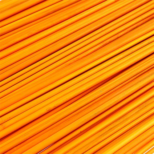 Floristik24 Tonkin gyllen gul 70cm - 80cm 150 stk.