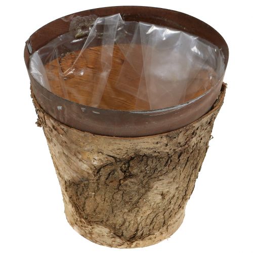 Floristik24 Potte med bjørk og metall Ø17,5cm H16,5cm 1st