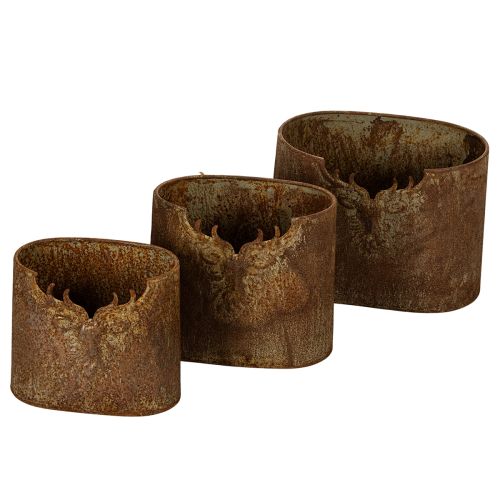 Blomsterpotte hjort metall oval rustikk sett med 3 24 cm kjøpe | Floristik24.no
