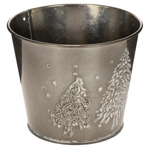 Metallplantekasse med glittergrantrær, 13 cm | Floristik24.no