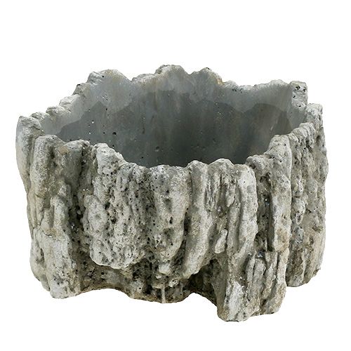 Floristik24 Gryte med bark 20,5cm x 17cm 1p