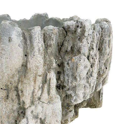 Floristik24 Gryte med bark 20,5cm x 17cm 1p