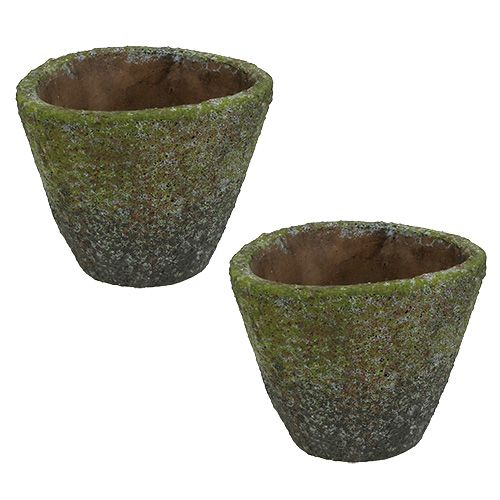 Floristik24 Gryte for planting Ø12cm H11cm 2stk