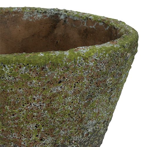 Floristik24 Gryte for planting Ø12cm H11cm 2stk