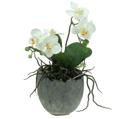 Floristik24 Betongpotte eggeskall Ø14,5cm 15cm 2stk