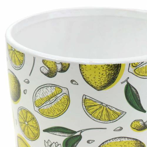 Floristik24 Plantekar sitrongul Ø8/10/13cm sett med 3 stk