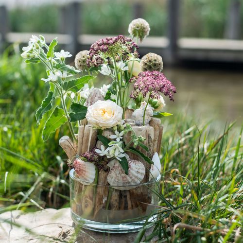 Floristik24 Drivved dekorative drivved trepinner natur L15cm