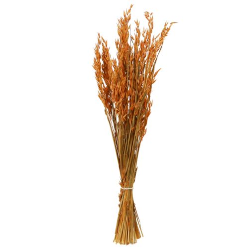 Floristik24 Dry Deco Oat Deco i Orange L64cm 70-75g 2stk
