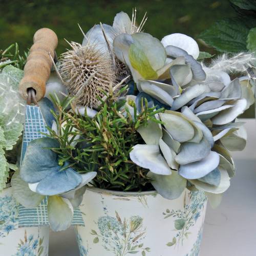 Floristik24 Tørkede blomster Tistel Hvit vasket 60cm 100g