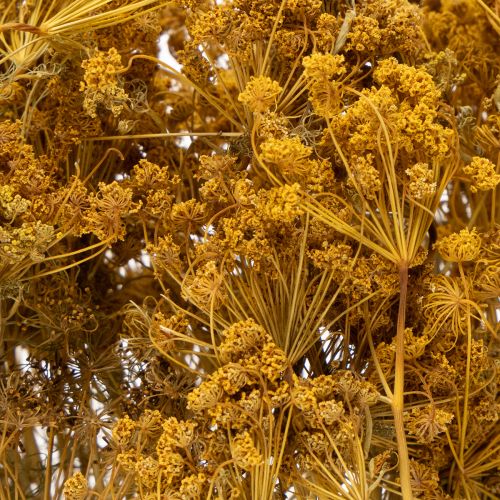 gjenstander Tørket blomsterbukett med delikate blomster for romantisk vintagedekorasjon 55 cm