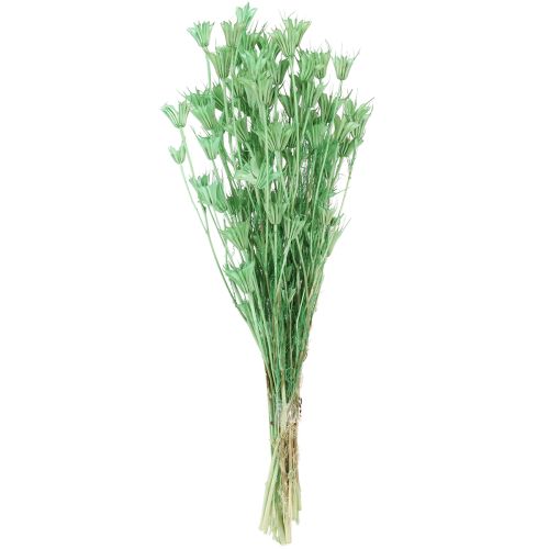 gjenstander Tørkede blomster svart spisskummen grønn nigella 50cm 100g