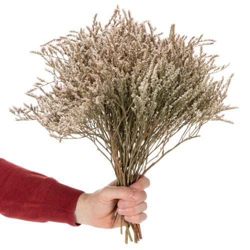 Tørkede blomster strand lavendelbukett Statice natur 1kg | Floristik24.no