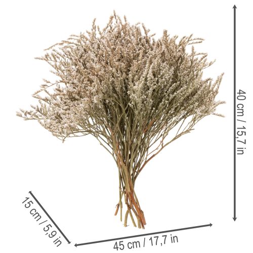 Tørkede blomster strand lavendelbukett Statice natur 1kg | Floristik24.no