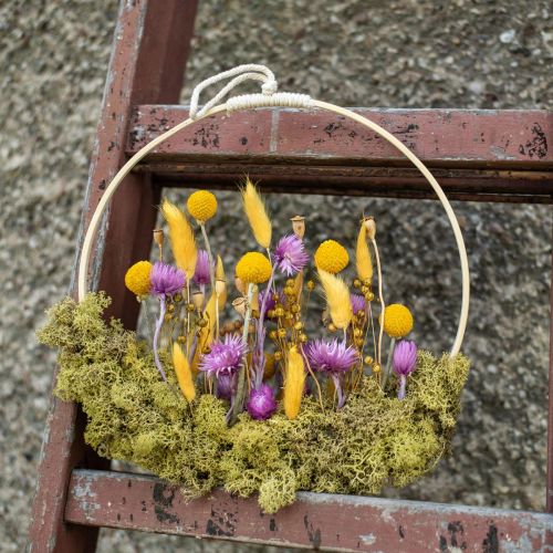 gjenstander Tørkede blomster Cap-blomster Lilla stråblomster H42cm