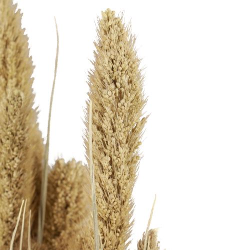 gjenstander Tørkede blomster, hirsedekorasjon, Setaria (revhirse), 60 g