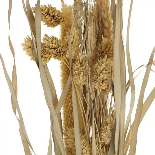 gjenstander Tørket gress og frokostblandinger naturlig i en haug med tørket bukett 48cm