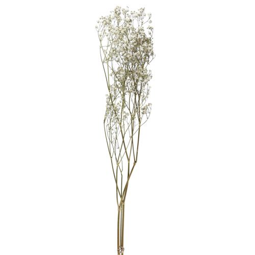 Floristik24 Tørkede blomster Gypsophila Gypsophila Hvit 58cm 7g