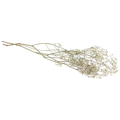 Floristik24 Tørkede blomster Gypsophila Gypsophila Hvit 58cm 7g