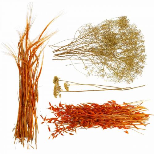 Floristik24 Tørkede blomsterboks Oransje Tørr blomstersett