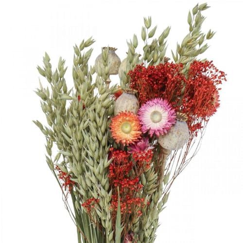 Bukett tørkede blomster Bukett engblomster Rød H50cm 150g