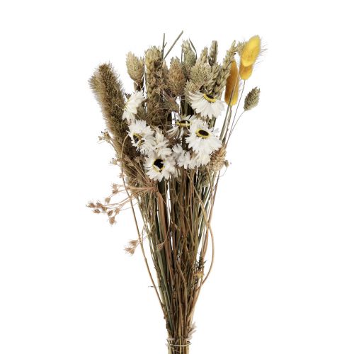 gjenstander Tørket blomsterbukett stråblomster Phalaris hvit gul 30cm