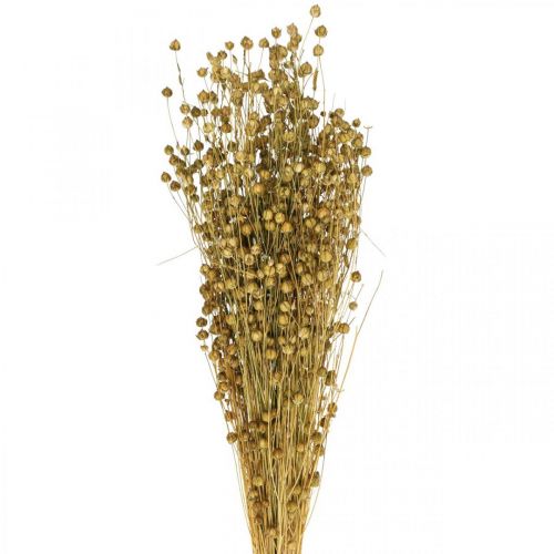 Tørket lingress, olivengrønt, 50–55 cm, 80 g, dekorativ bohemsk stil