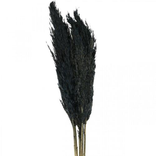 gjenstander Tørket gressharv tørket sort deco gress 70cm 10 stk