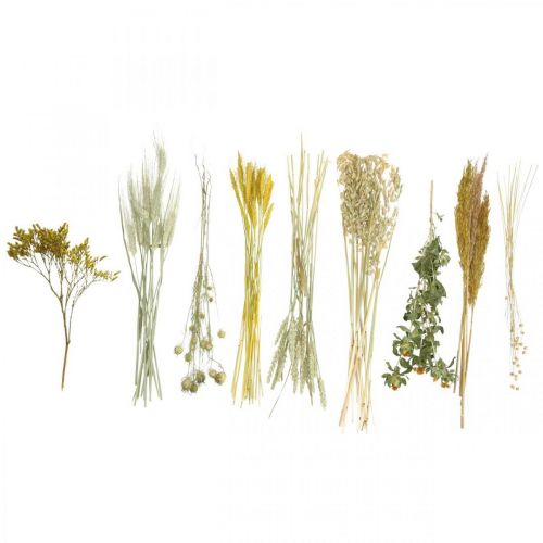 gjenstander Tørkede blomster DIY-verktøysett gult for kreative buketter og dekorative kranser 60 cm – naturprodukt