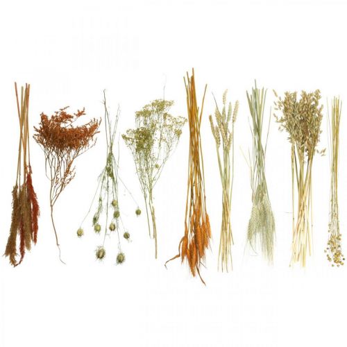 Floristik24 Tørkede blomster DIY-sett for tørking av bukett oransje 60cm