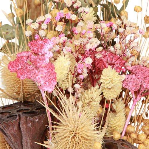 Floristik24 Tørr bukett lotus lintistel rosa krem 50cm 100g