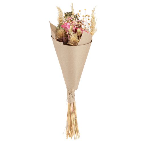 Floristik24 Tørr bukett lotus lintistel rosa krem 50cm 100g