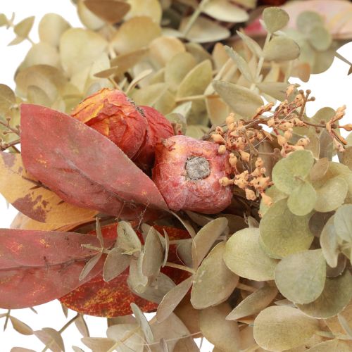 Floristik24 Dørkrans eukalyptus eukalyptus krans kunstig dekorasjon Ø55cm