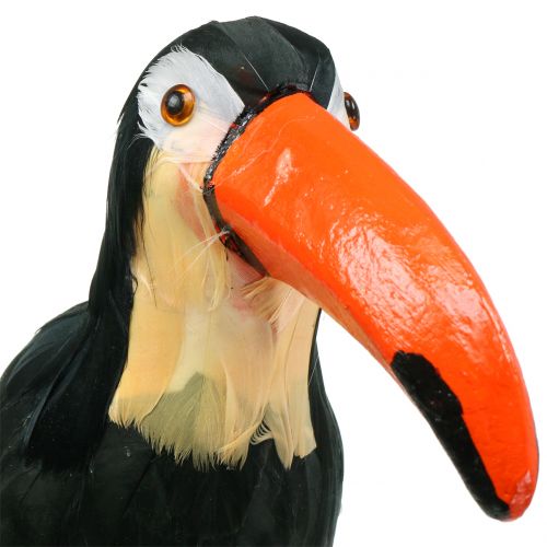 gjenstander Deco tukan med fjær svart L37cm