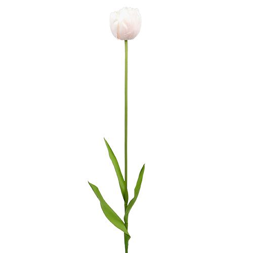 Floristik24 Tulipan hvit-rosa 86cm 3stk