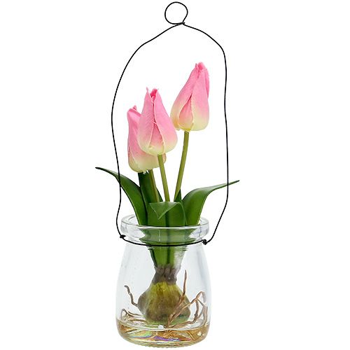 Floristik24 Tulipan i en glassrosa H22.5cm 1p