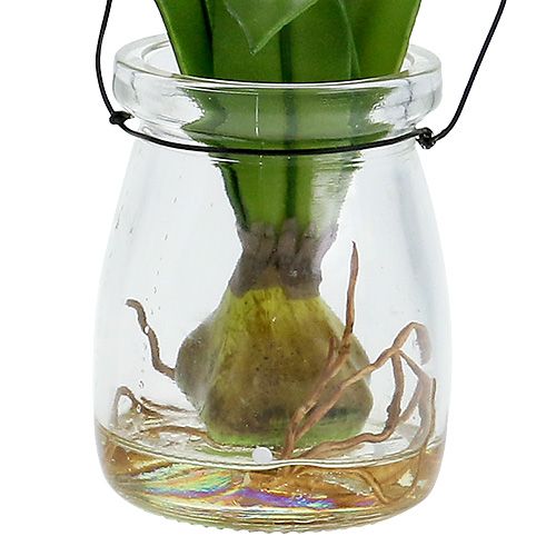 Floristik24 Tulipan i en glassrosa H22.5cm 1p