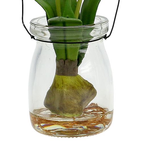Floristik24 Tulipan hvit i et glass H21cm 1p