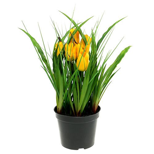 Floristik24 Tulipaner i gul potte 30cm