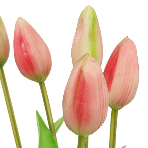 gjenstander Tulipan krage rosa ekte touch