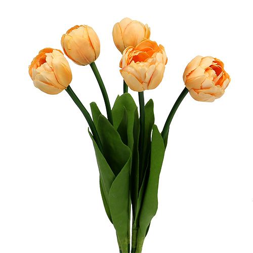 Floristik24 Tulipanbukett aprikos 43cm