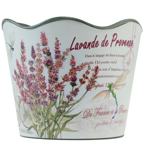Floristik24 Plantekar plast lavendel blomsterpotte Ø13,5cm H12cm