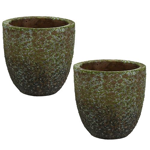 Floristik24 Planter mosegrå, grønn Ø14cm H14cm 2stk
