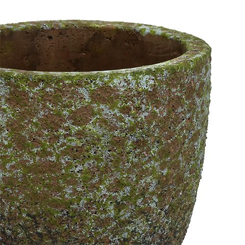 Floristik24 Planter mosegrå, grønn Ø14cm H14cm 2stk